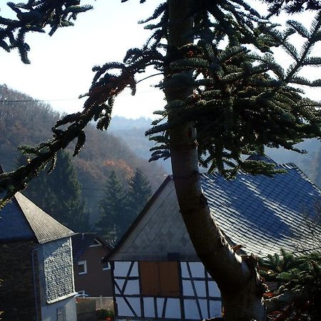 vakantiehuis Hunsrück Leisel Exterior foto