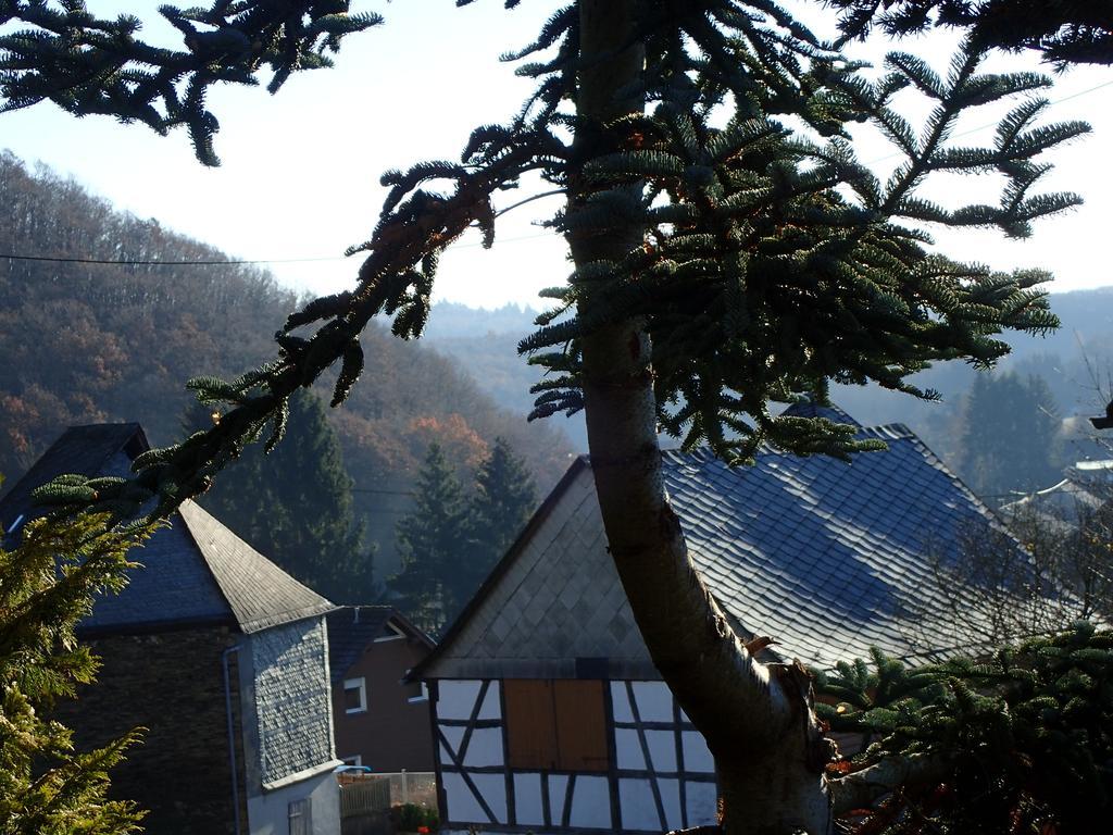 vakantiehuis Hunsrück Leisel Exterior foto